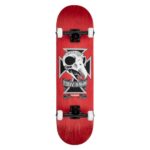 Birdhouse Complete Skull2 8.25″