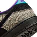 Dunk Low x Dashawn Jordan - Image 8